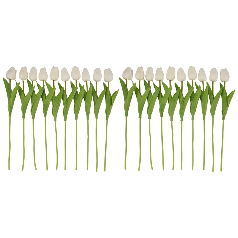 Bloom20 Buah Bunga Tulip Buata - Home Decor Tulip ulasan dan harga