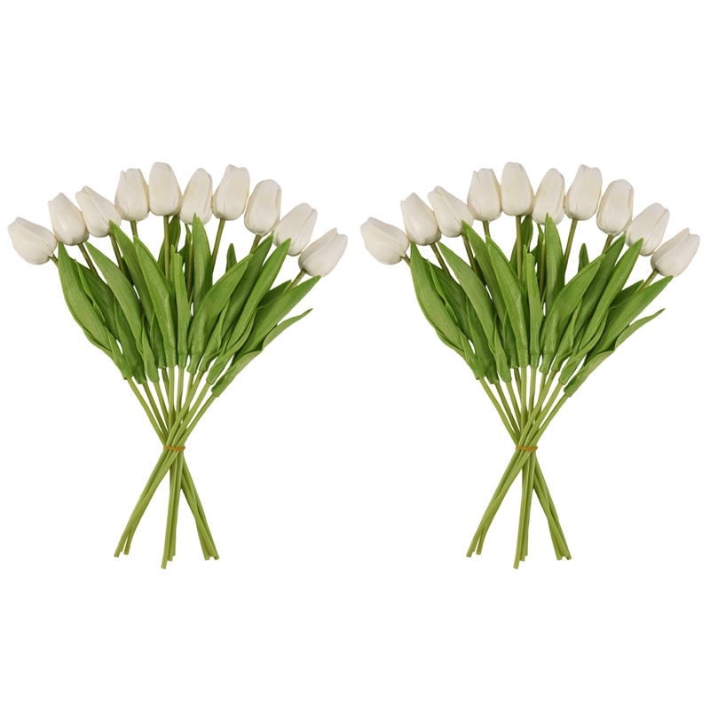 Bloom20 Buah Bunga Tulip Buata - Home Decor Tulip ulasan dan harga