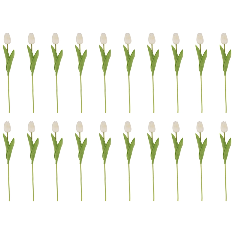 Bloom20 Buah Bunga Tulip Buata - Home Decor Tulip ulasan dan harga