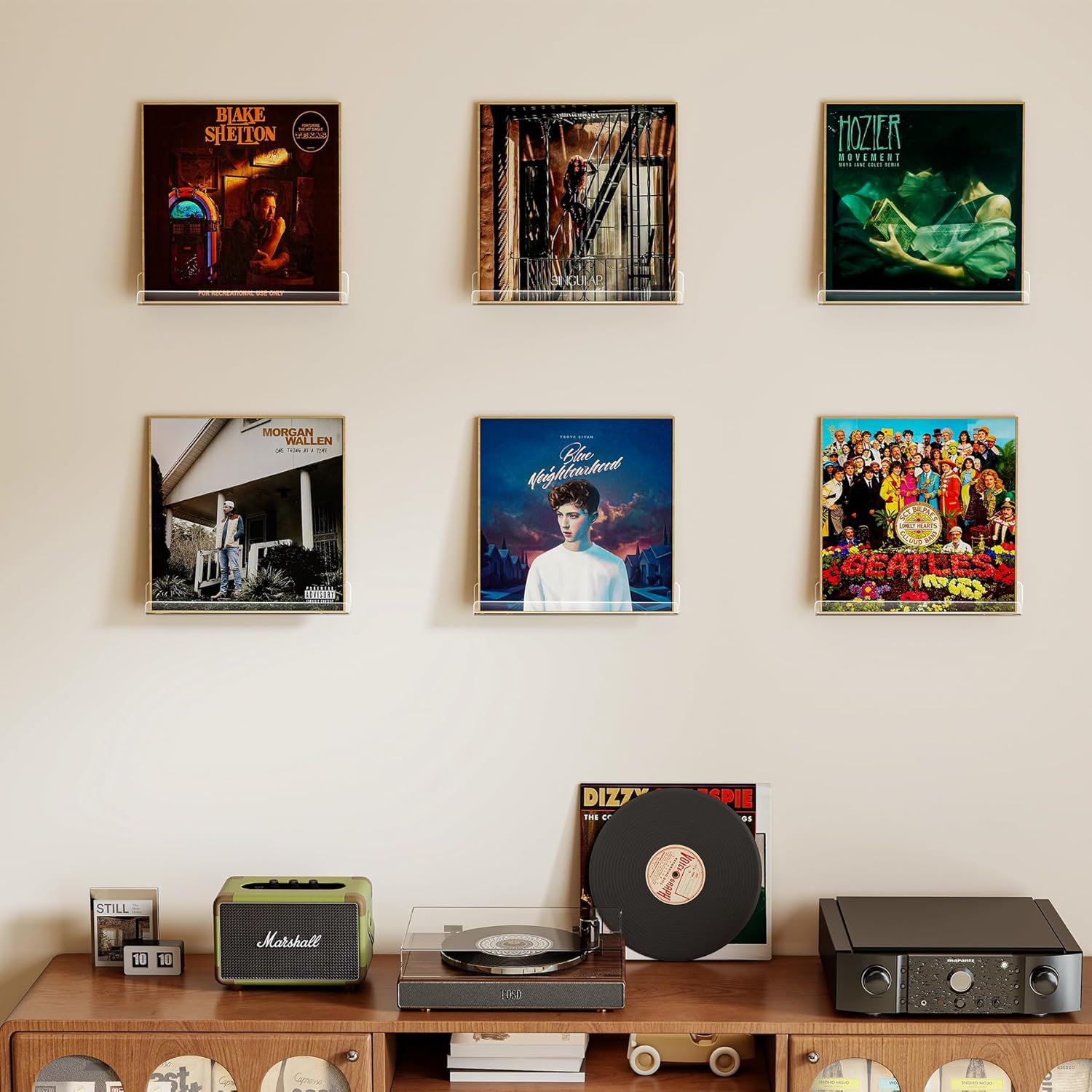 Rak Piringan Hitam Vinyl untuk - Floating Shelves ulasan dan harga